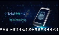 熊市来袭：加密货币投资