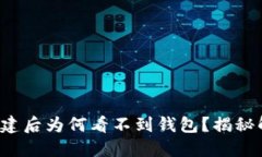 TP钱包创建后为何看不到钱