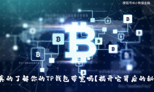 你真的了解你的TP钱包带宽吗？揭开它背后的秘密！