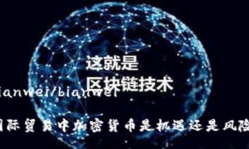 bianwei/bianwei

国际贸易中加密货币是机遇还是风险？