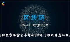揭秘全球数字加密货币峰