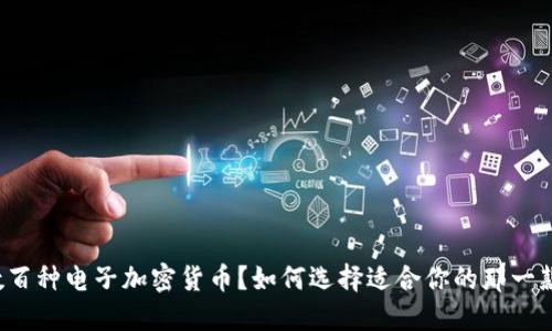 数百种电子加密货币？如何选择适合你的那一款！