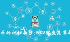 破解加密货币的神秘面纱