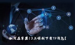 如何在苹果13上顺利下载