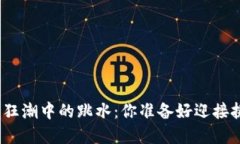 加密货币狂潮中的跳水：