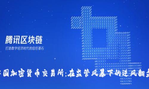 中国加密货币交易所：在监管风暴下的逆风翻盘！