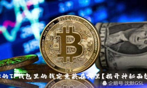 你的TP钱包里的钱究竟藏在哪里？揭开神秘面纱！