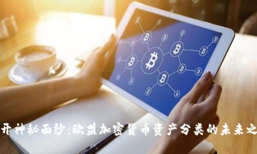 揭开神秘面纱：欧盟加密货币资产分类的未来之路