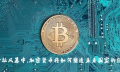 在全球金融风暴中，加密
