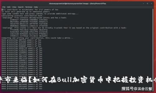牛市来临？如何在Bull加密货币中把握投资机会
