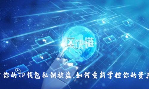 当你的TP钱包私钥被盗，如何重新掌控你的资产？