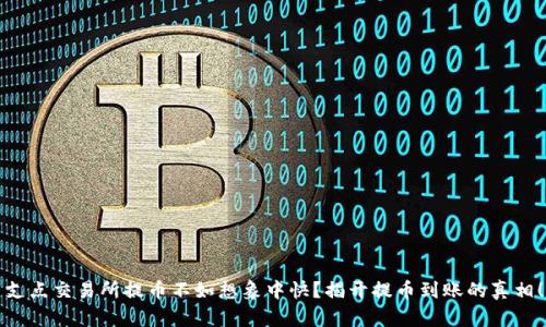 支点交易所提币不如想象中快？揭开提币到账的真相！