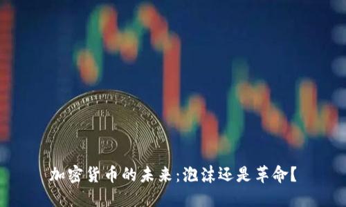 加密货币的未来：泡沫还是革命？