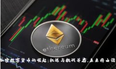 美国加密数字货币的崛起：机遇与挑战并存，未