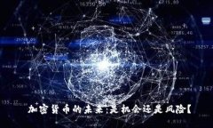  加密货币的未来：是机会还是风险？