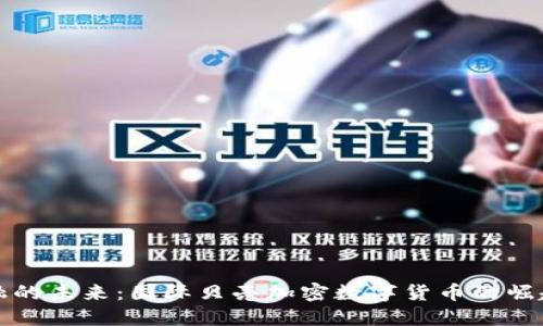 颠覆金融的未来：国际贝壳加密数字货币的崛起与挑战