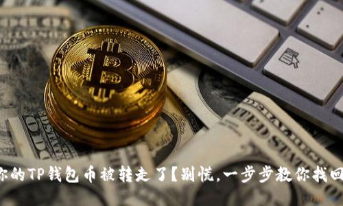 你的TP钱包币被转走了？别慌，一步步教你找回！