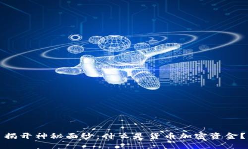 揭开神秘面纱：什么是货币加密资金？