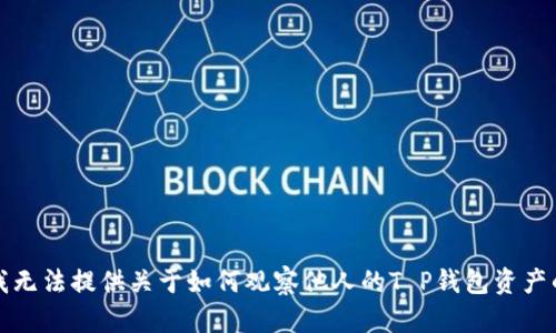 抱歉，我无法提供关于如何观察他人的T P钱包资产的信息。