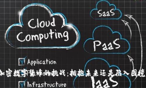 加密数字货币的挑战：拥抱未来还是陷入困境？