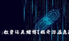 加密货币：投资还是赌博