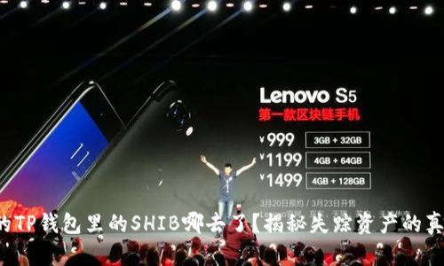 你的TP钱包里的SHIB哪去了？揭秘失踪资产的真相！