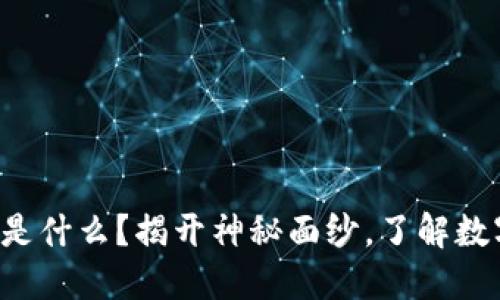 TP数字钱包里的U是什么？揭开神秘面纱，了解数字货币背后的秘密