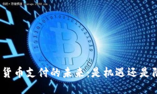 加密货币支付的未来：是机遇还是陷阱？