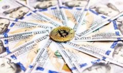 投票佣金：TP钱包了解真相