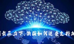 在金融制裁压力下，俄国