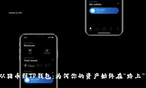从猪币到TP钱包：为何你的资产始终在“路上”?