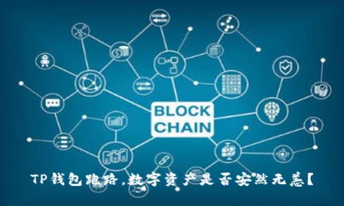 TP钱包跑路，数字资产是否安然无恙？