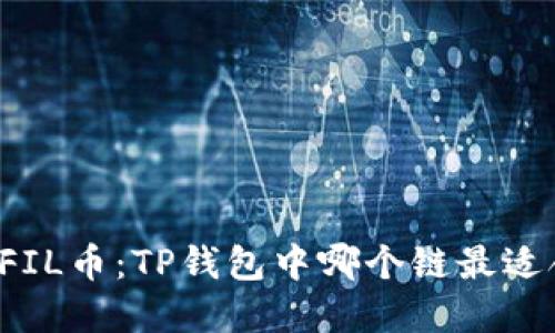 解密FIL币：TP钱包中哪个链最适合你？