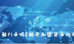 你真的了解Pi币吗？揭开加