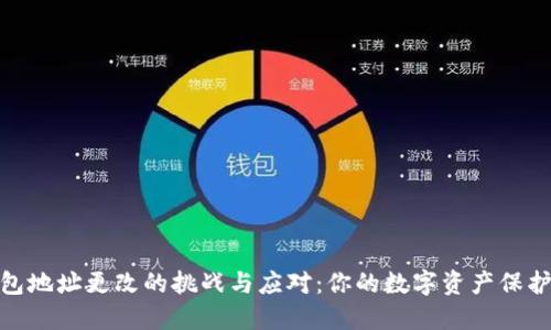 TP钱包地址更改的挑战与应对：你的数字资产保护之道