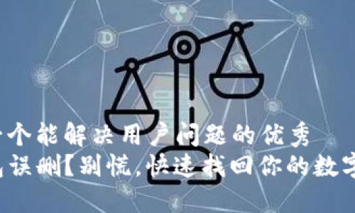 思考一个能解决用户问题的优秀  
TP钱包误删？别慌，快速找回你的数字资产！