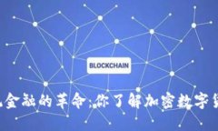 挑战传统金融的革命：你