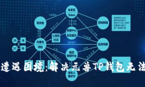 当数字资产遭遇困境：解决元兽TP钱包无法登录的挑战