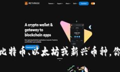 加密货币投资的抉择：比