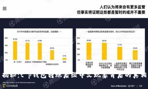 揭秘：t p钱包转账后缀中文现象背后的真相