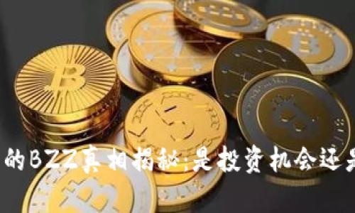 TP钱包的BZZ真相揭秘：是投资机会还是骗局?