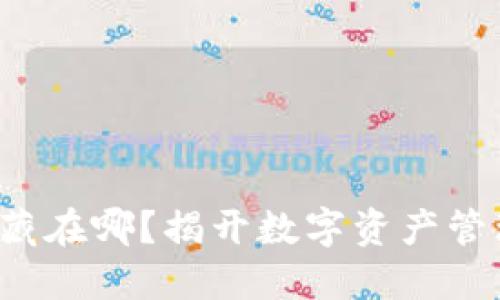 TP钱包中的币藏在哪？揭开数字资产管理的神秘面纱！