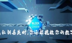 当TP钱包私钥丢失时，你还