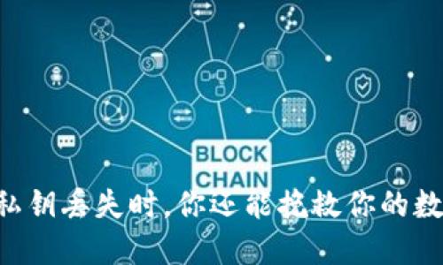 当TP钱包私钥丢失时，你还能挽救你的数字资产吗？