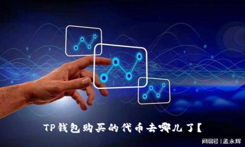 TP钱包购买的代币去哪儿了？