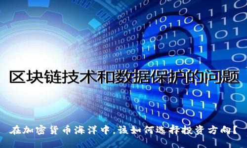 在加密货币海洋中，该如何选择投资方向？