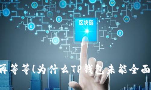 印度还能再等等！为什么TP钱包未能全面普及支付？