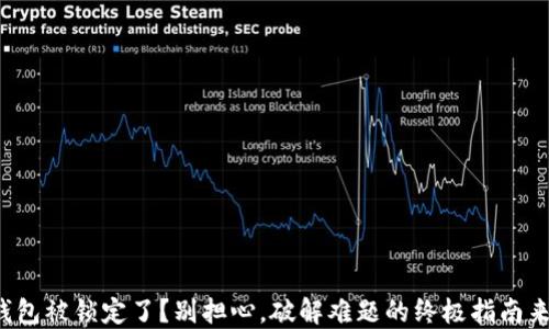 
TP钱包被锁定了？别担心，破解难题的终极指南来了！
