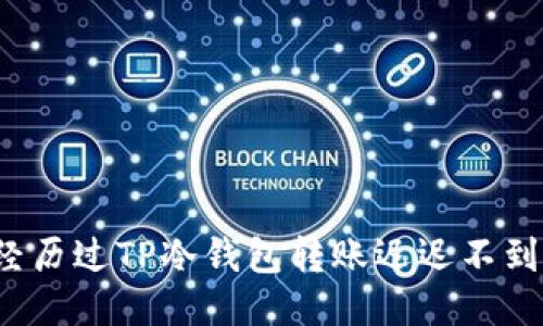 你是否也经历过TP冷钱包转账迟迟不到账的困惑？