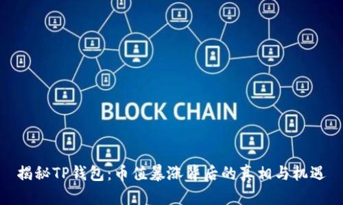 揭秘TP钱包：币值暴涨背后的真相与机遇